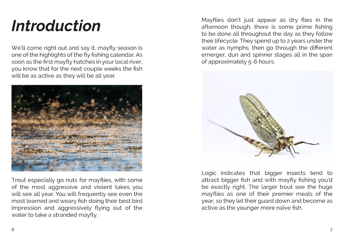 FLY: Fishing The Mayfly (eBook)