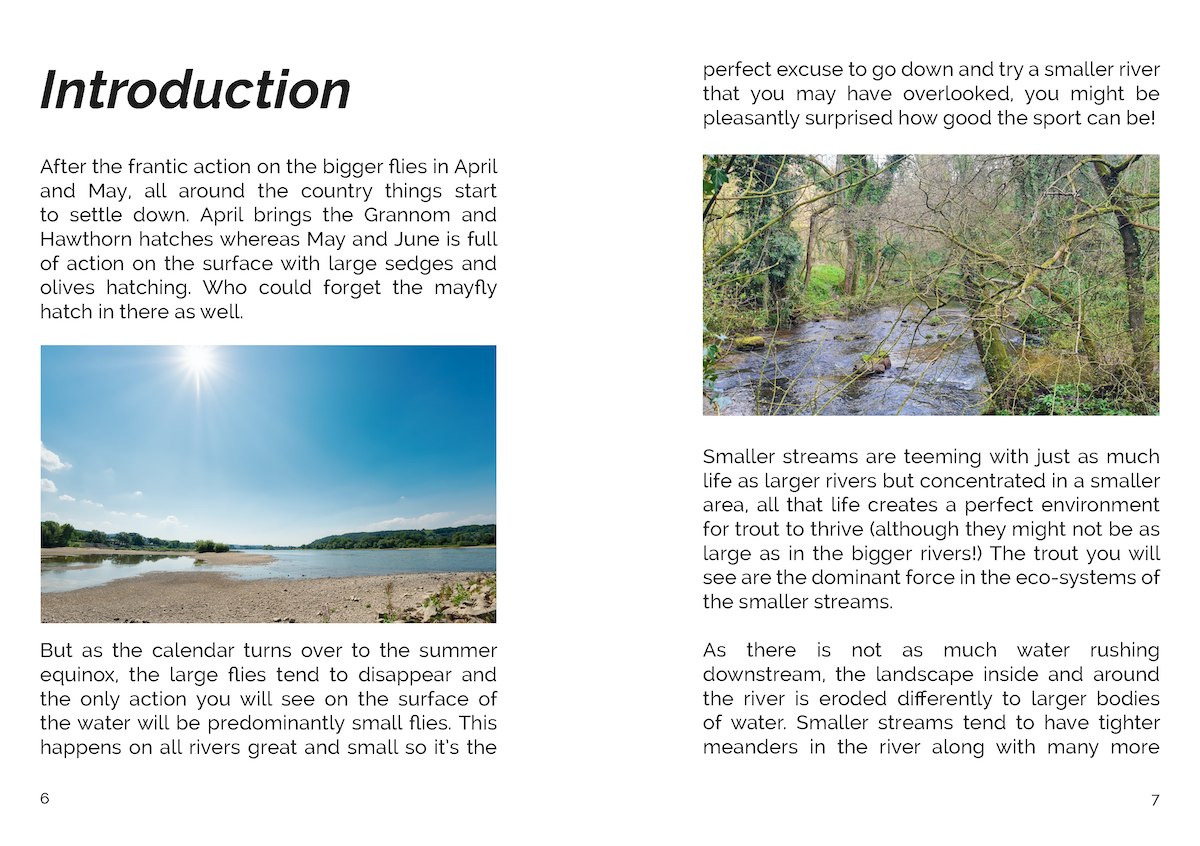 FLY Series: Small Streams & Small Flies (eBook)