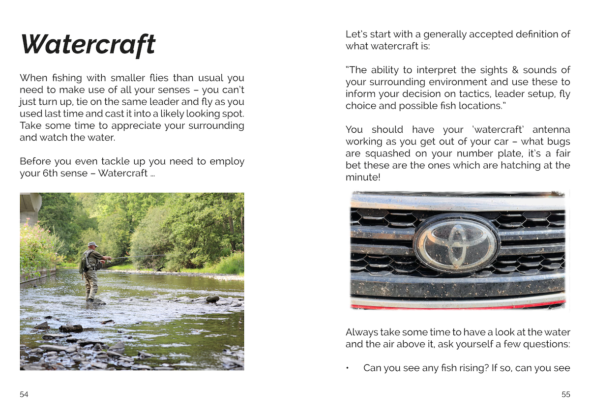 FLY Series: Small Streams & Small Flies (eBook)