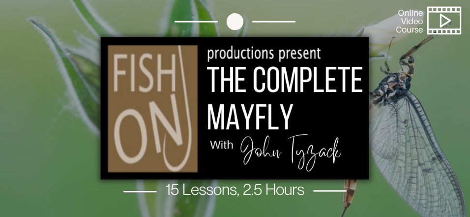 River Academy: The Complete Mayfly