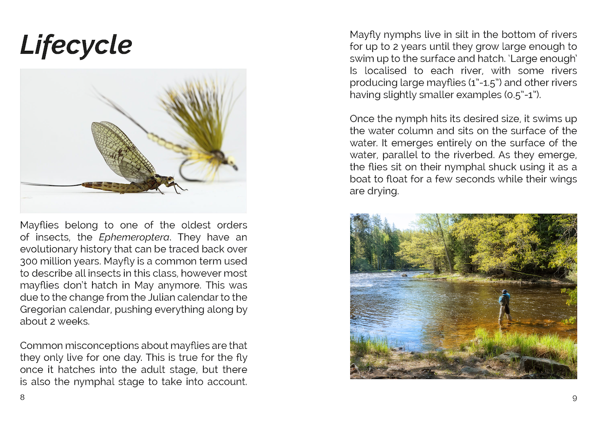 FLY: Fishing The Mayfly (eBook)