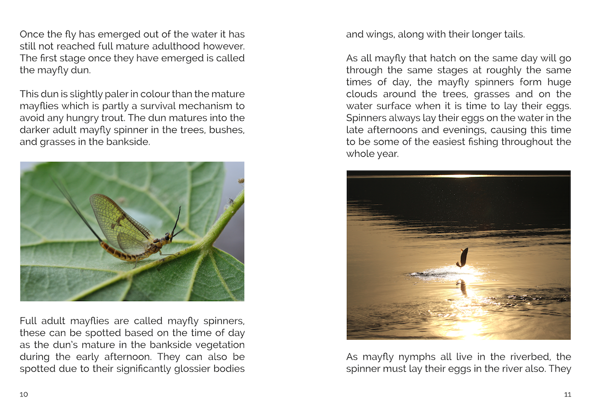 FLY: Fishing The Mayfly (eBook)