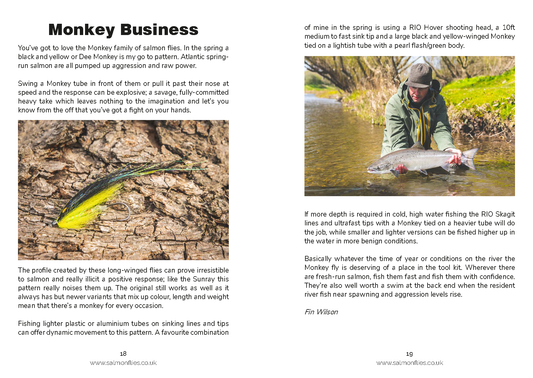 The Essential Fly E-Guide Winter Grayling 35 Page (Downloadable) Fly  Fishing Electronic Downloadable Book
